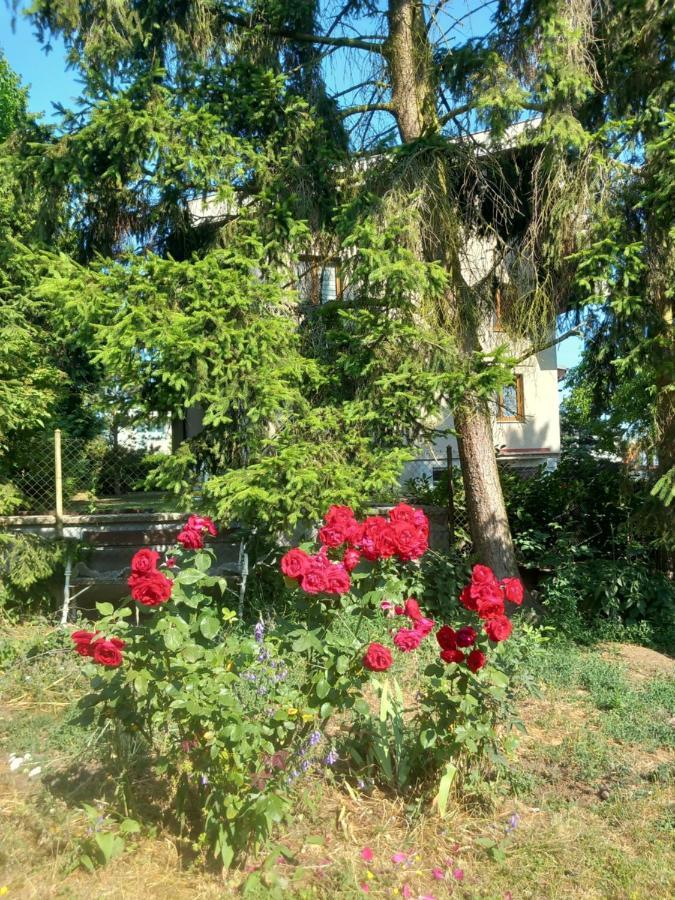 Apartment In The City Of Pilsen Bozkov Εξωτερικό φωτογραφία